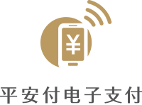 平安付电子支付品牌logo