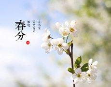 春分,考拉云商,考拉云商POS机,考拉云商优势
