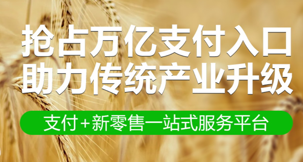 加盟聚合支付为何选圆脸支付,产品证明实力