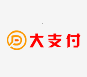 大支付品牌logo