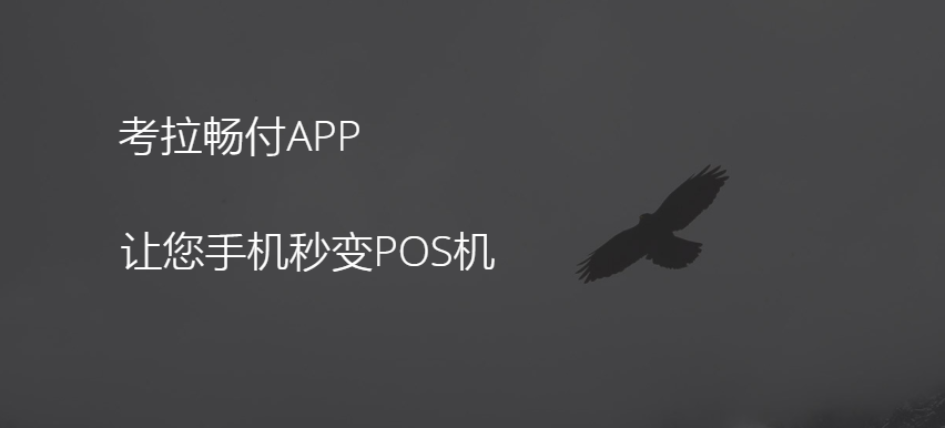 考拉畅付