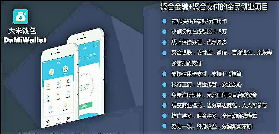 ‘大米钱包’ 大米钱包