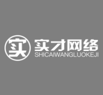 实才网络品牌logo