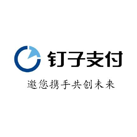 钉子支付品牌logo