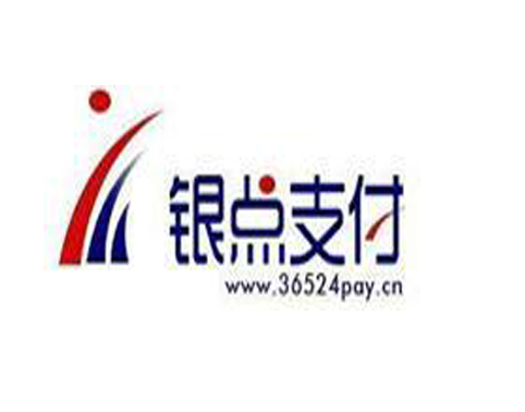 银点支付品牌logo